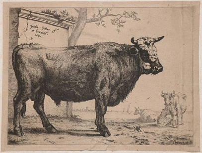 Paulus Potter, Series of Etchings, Cows: Lot of 7 etchings after studies of bulls by Paulus Potter. All tipped at corners onto support leaves, appears to be wove paper, plates measure 137 x 102mm. All moderately toned, else Very Good, sold a