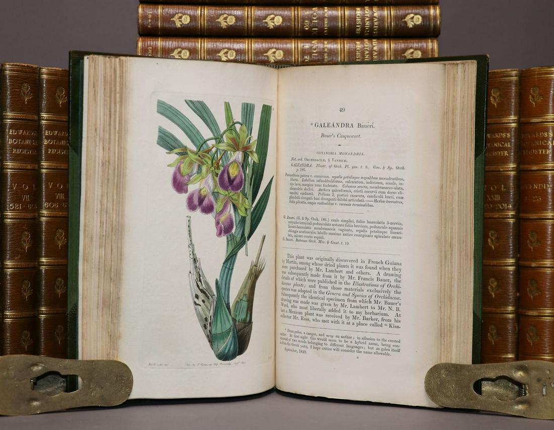 [Color Plates] Edwards' Botanical Register (1 of 9)