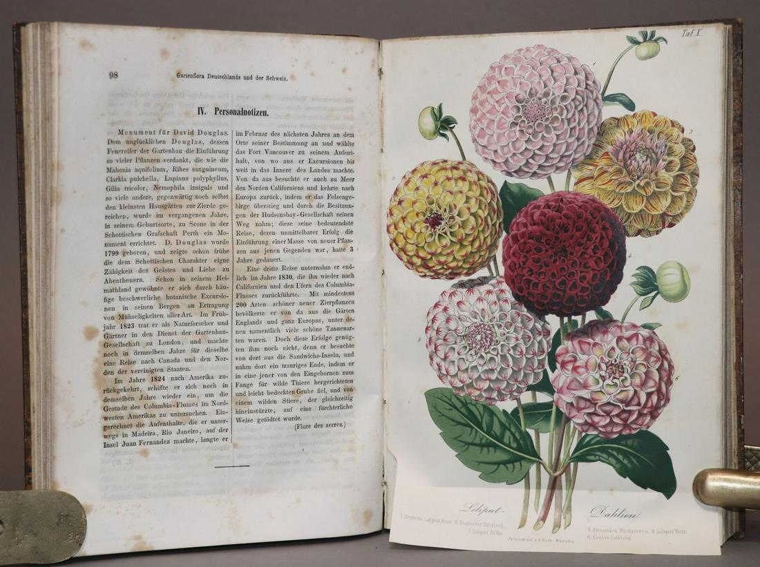 [Botany, Plates]  Regel's Gartenflora (1 of 6)