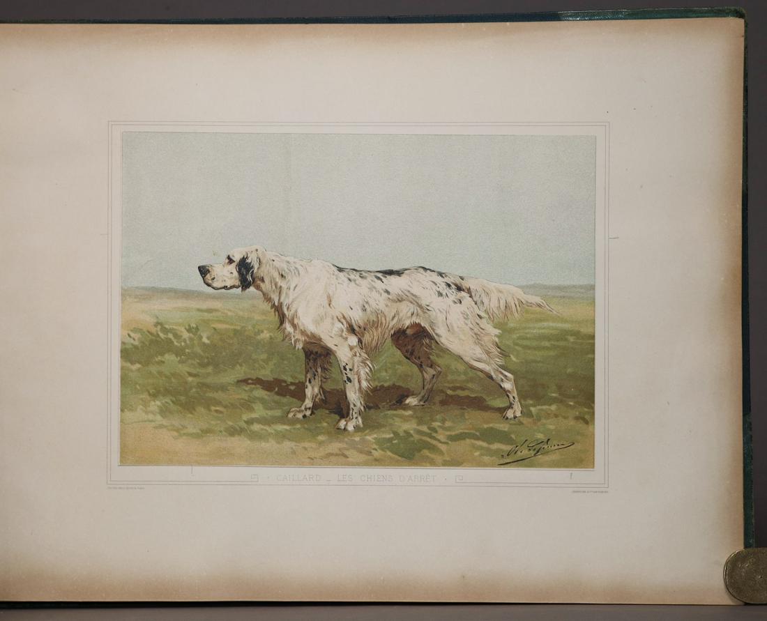 [Sporting, Dogs]  Les Chiens D'arret (1 of 7)
