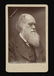 Charles Darwin Carte de Visite
