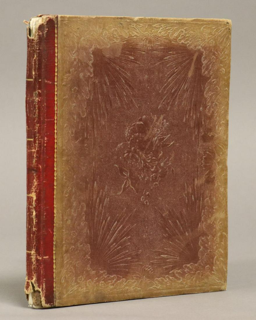 Unpublished Illustrated Children's Book (1 of 6)