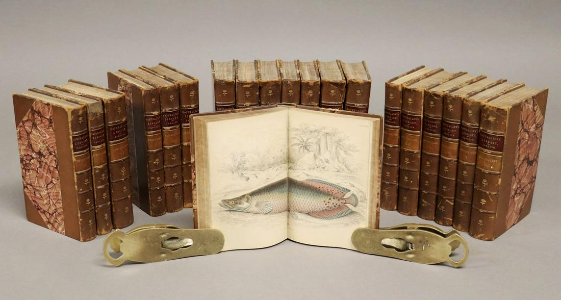 [Color Plates]  Naturalist's Library, Jardine (1 of 9)