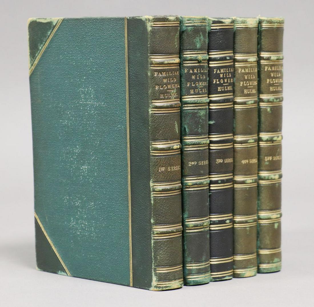 [Chromolithographs, Botany] (1 of 9)