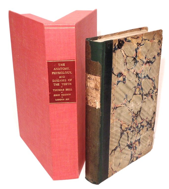Bell on Dentistry. 1829, 1st ed.: Bell, Thomas. The Anatomy, Physiology, and Diseases of the Teeth. London: for S. Highley, 1829. 8vo. [4 ads], xiii, [1], 329, [1], 4 ads pp. + 11 leaves of plates with facing captions. Bound in period