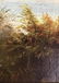 American School, 19 th Century, Hudson River School - 4