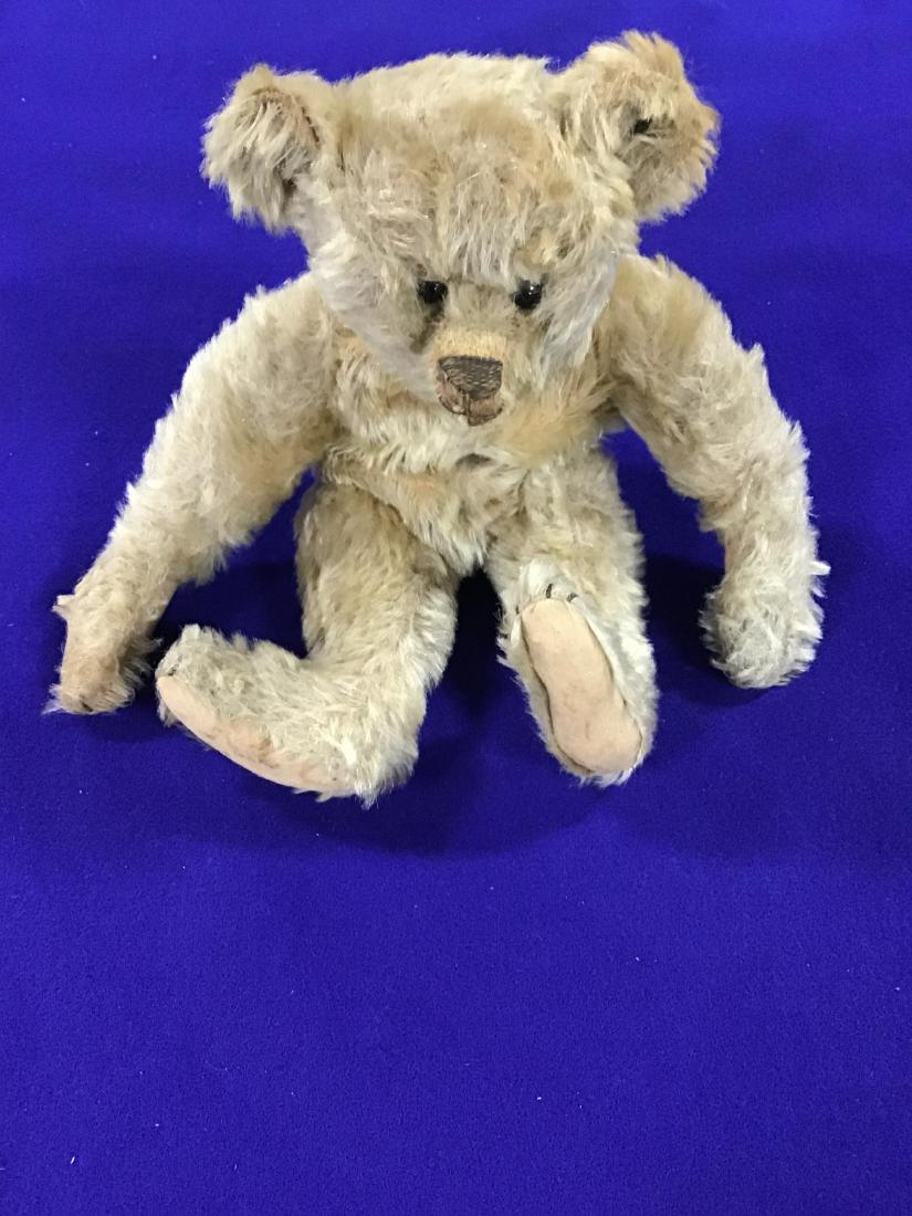 Steiff Mohair Teddy Bear (1 of 8)