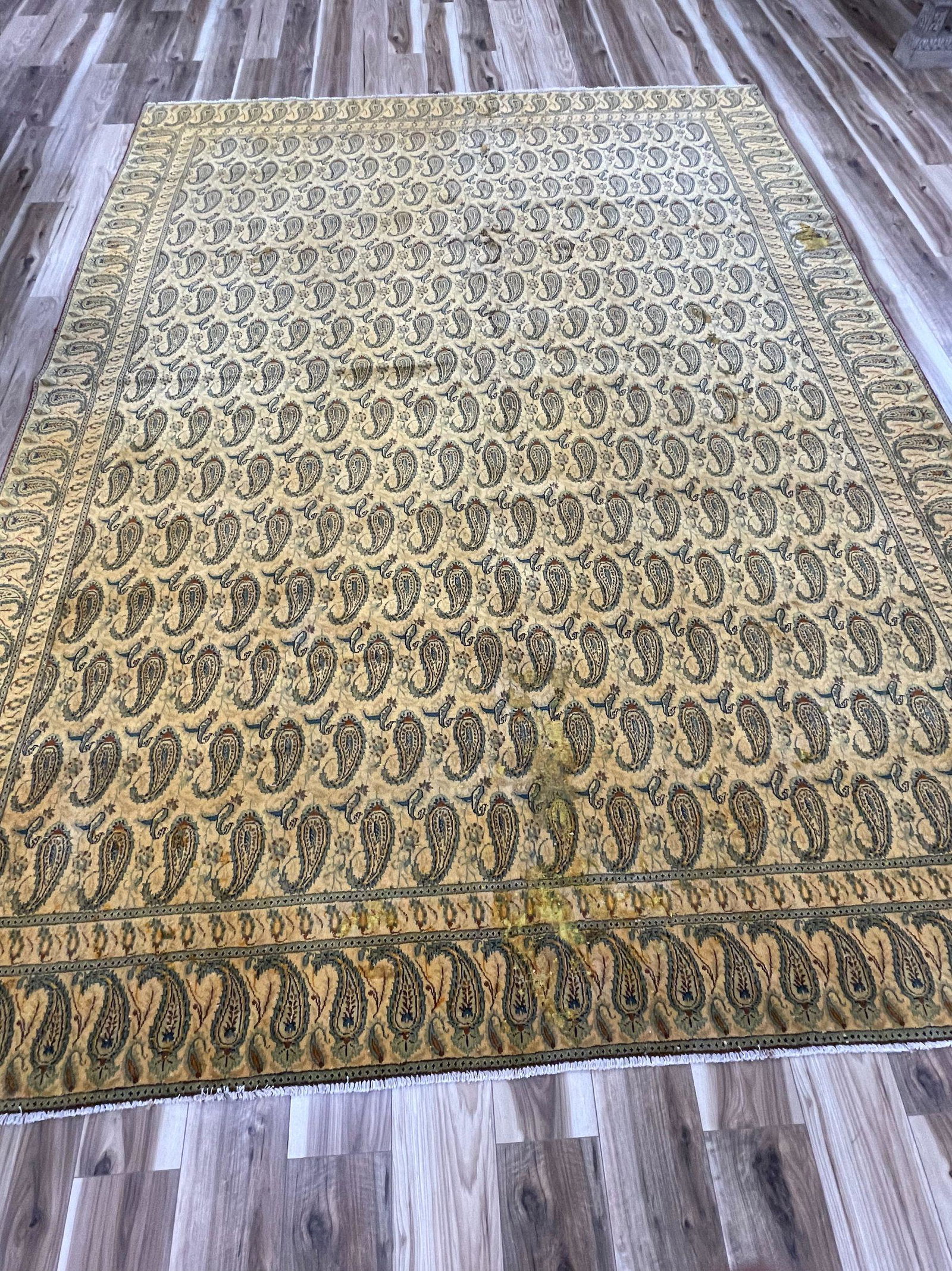 ANTIQUE PERSIAN PAISLEY (FISH) RUG: SIZE: 9.7 X 13