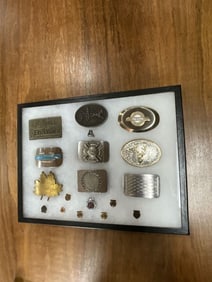 Lot of Seventeen Belt Buckles and Pins