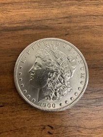 1900 Morgan Dollar
