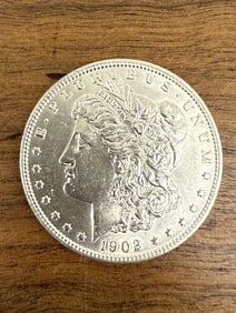 1902 Morgan Dollar