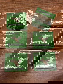 Remington 20-ga Shotgun Shells