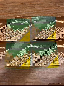 Remington 22LR