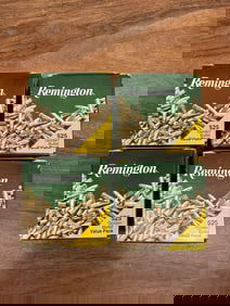 Remington 22LR