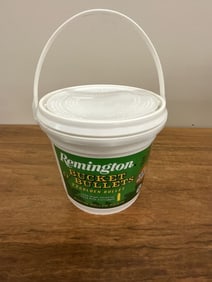 Remington Bucket O'Bullets 22 Golden Bullet