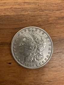 1886 Morgan Dollar