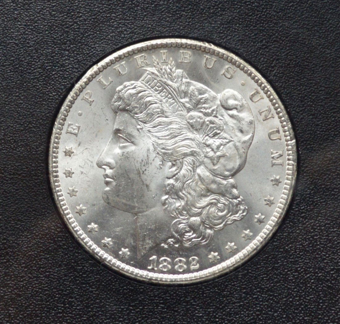 Carson City Silver Dollar 1882 (1 of 2)