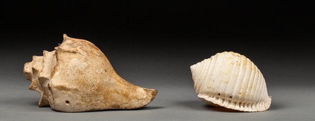 Ceremonial conch and pendant.: Terra cota and shell. Maya, AD 600 - 900. 24x12 - 16x12cm