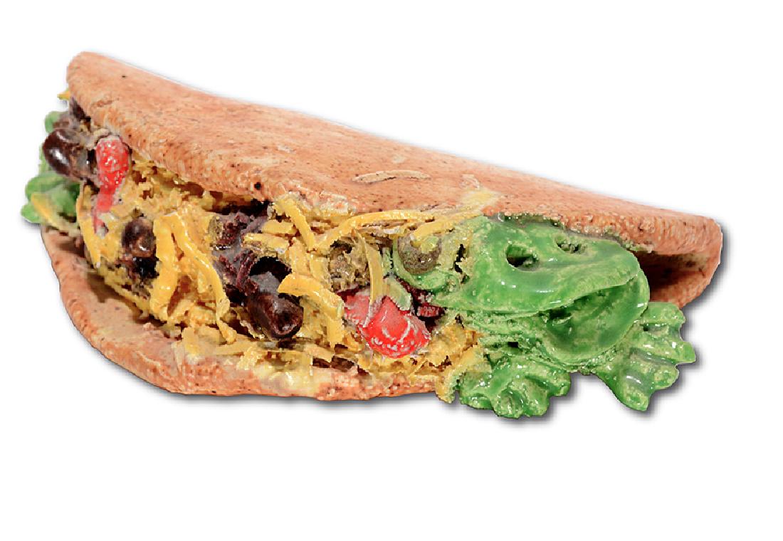 David James Gilhooly. Frog Taco. (1 of 4)