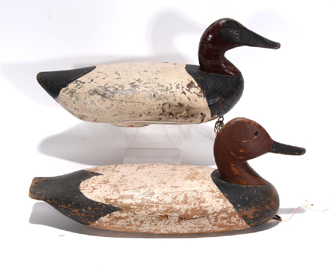 James Holly & D. O'Neal. Canvasback Drakes. (1 of 4)