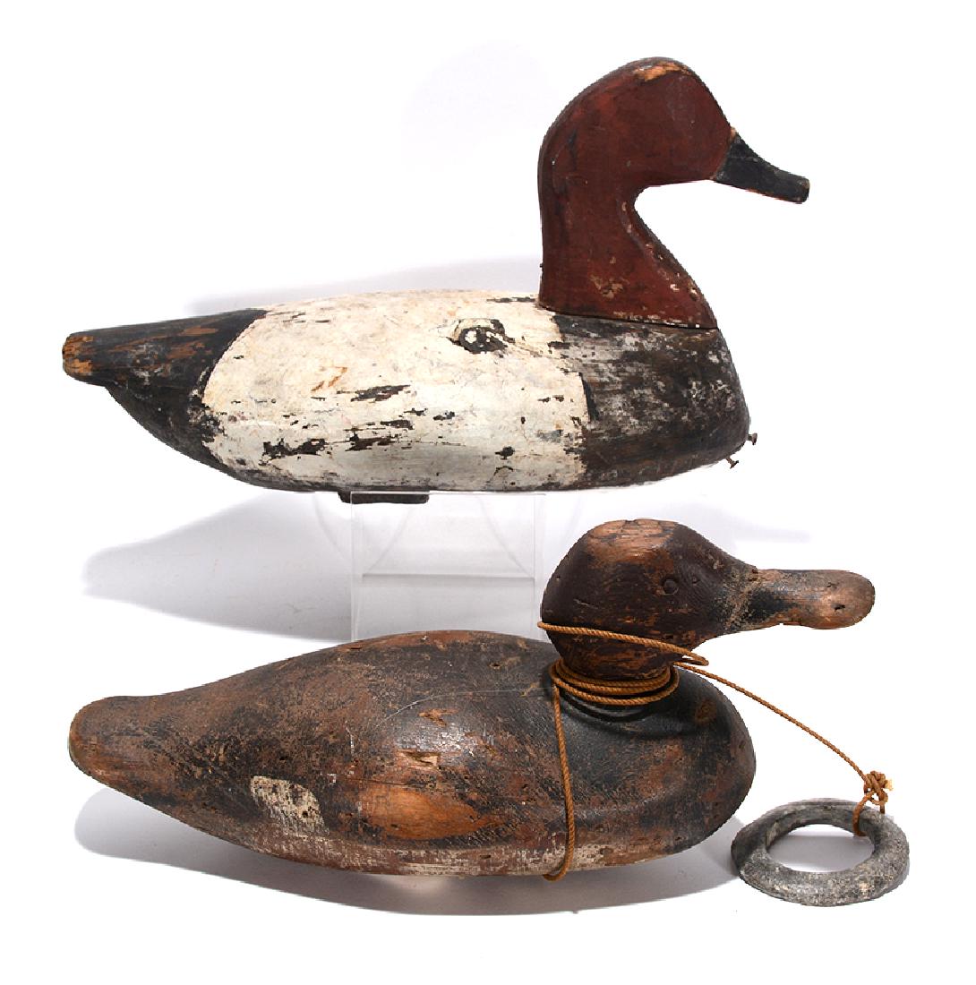 G. Peterson &  NC Carver. Canvasback Drakes. (1 of 4)