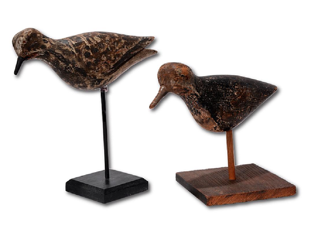 Pair of Shorebirds. (1 of 5)