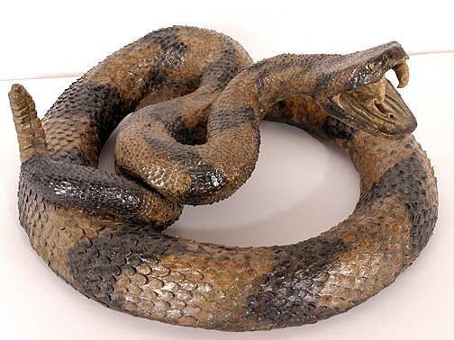 Michael & Melvin Crocker Open Mouth Rattlesnake #5
