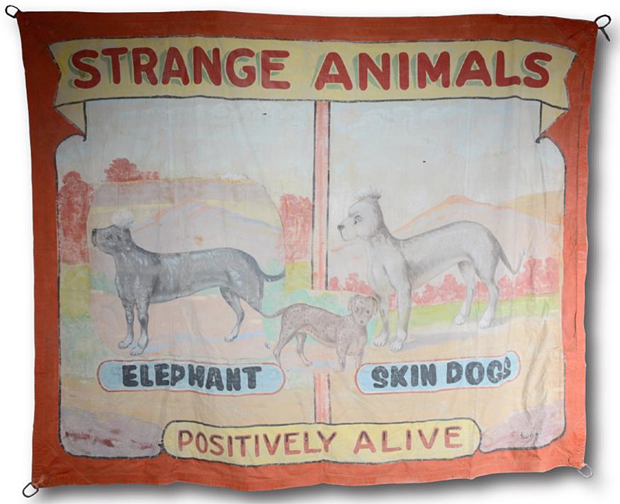 Fred Johnson. Strange Animals Circus Banner.: Fred Johnson. Strange Animals Circus Banner. c. 1940s. Signed. Oil on heavy canvas with second animal image over original canvas. Original leather and metal rings. Expected wear, otherwise great condi