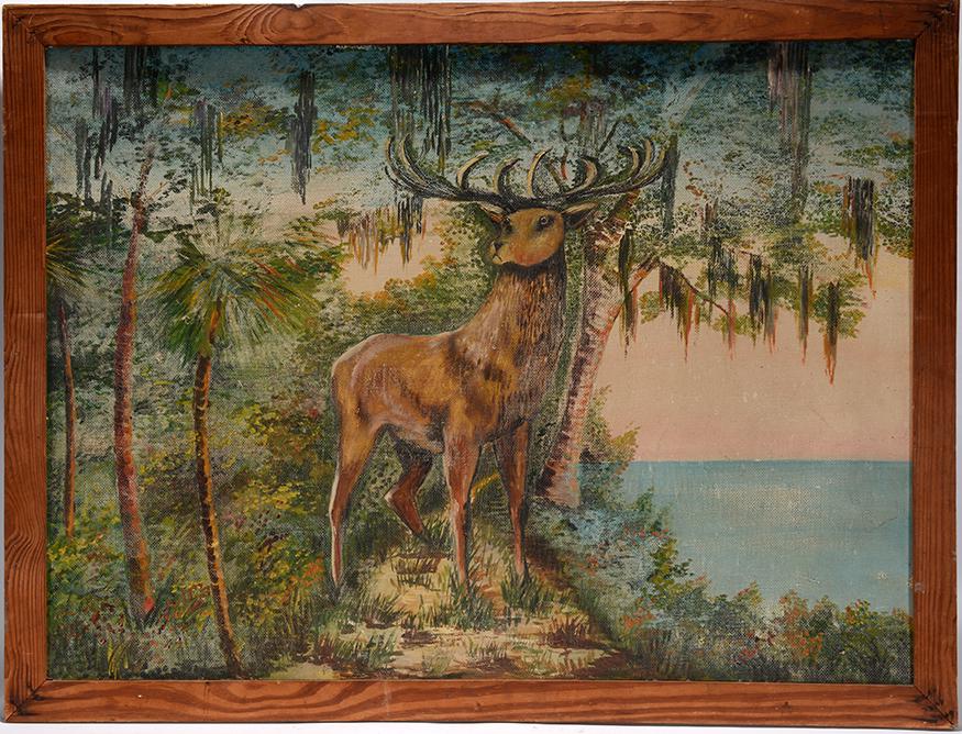 Large Stag In Florida Landscape. (1 of 1)