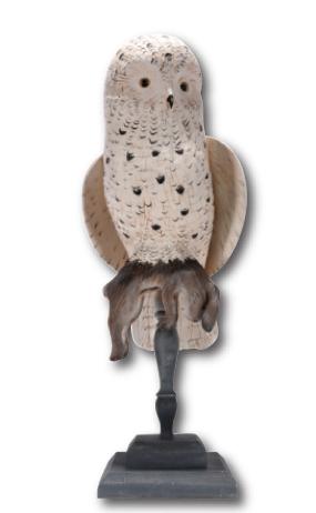 Casey Edwards. Snow Owl With Rabbit. (1 of 11)