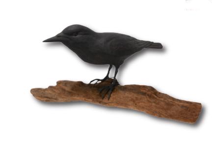 N.G. Schever. Black Crow. (1 of 6)