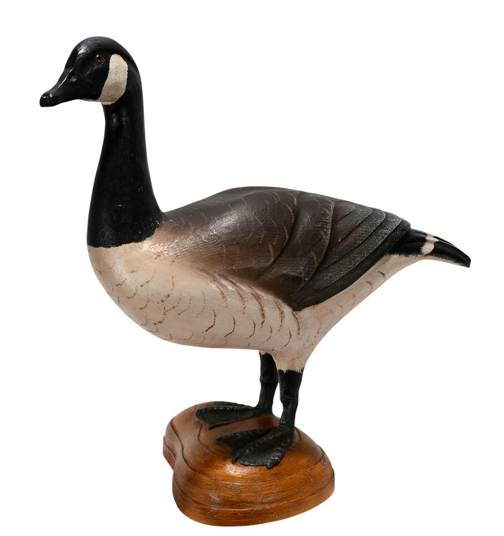 Casey Edwards. Canadian Goose. (1 of 3)