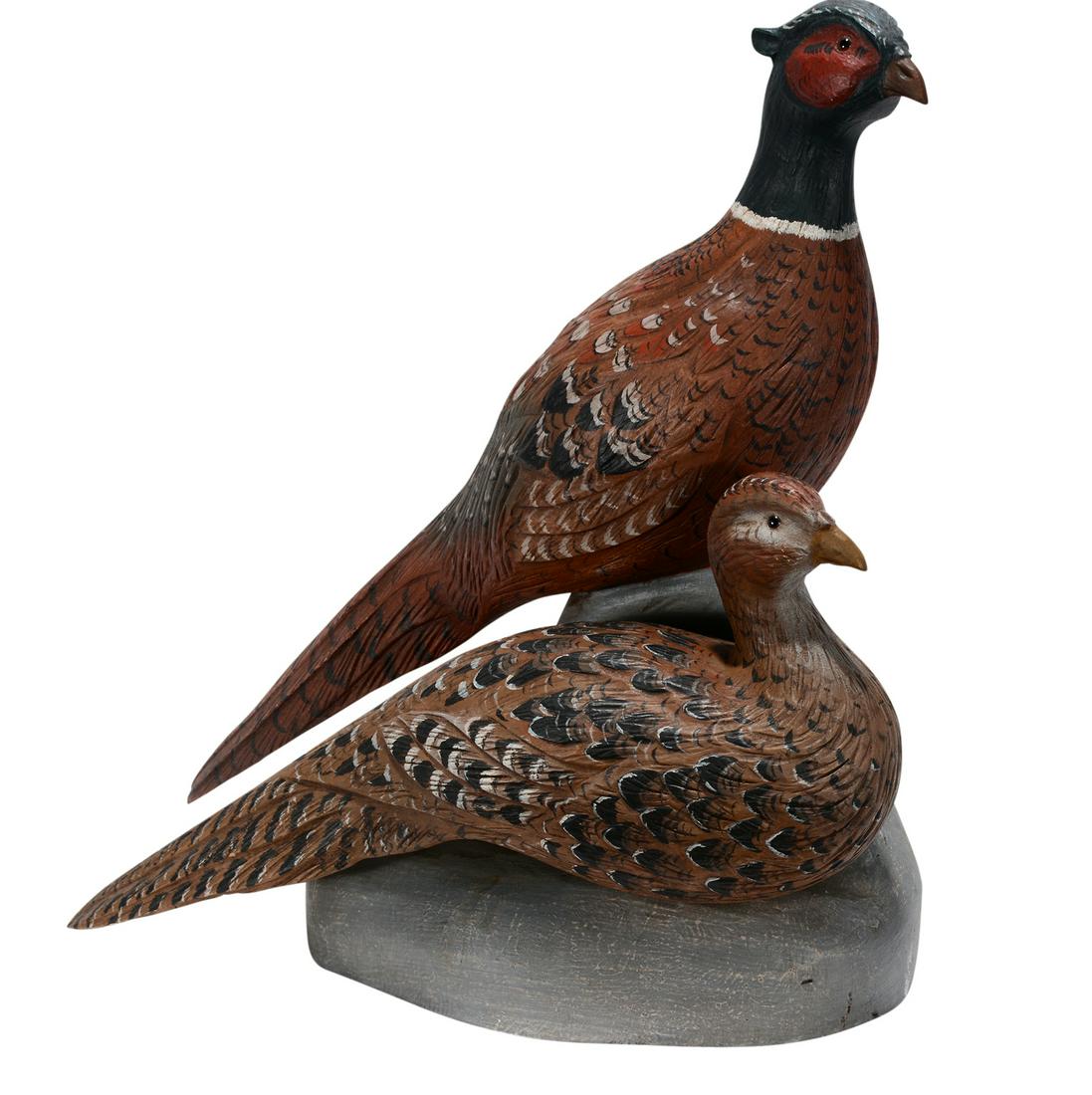 Casey Edwards. Ring Neck Pheasants. (1 of 4)