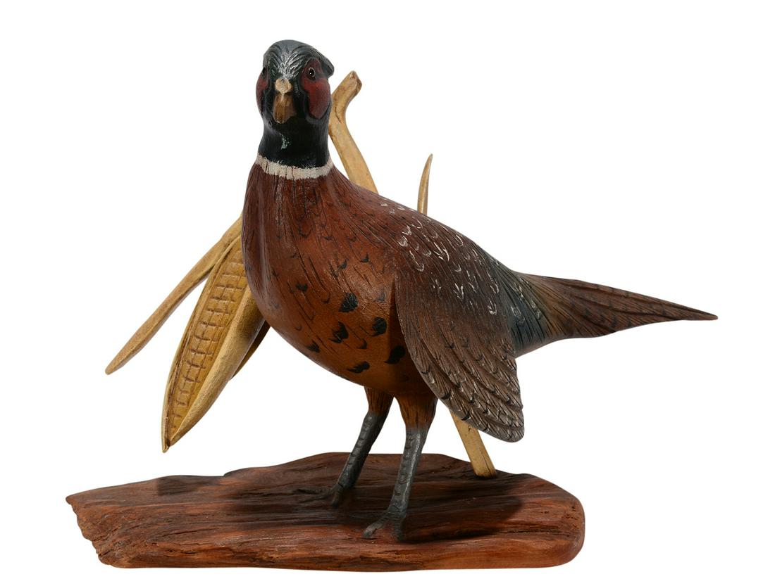 Casey Edwards. Pheasant In Corn Patch. (1 of 4)