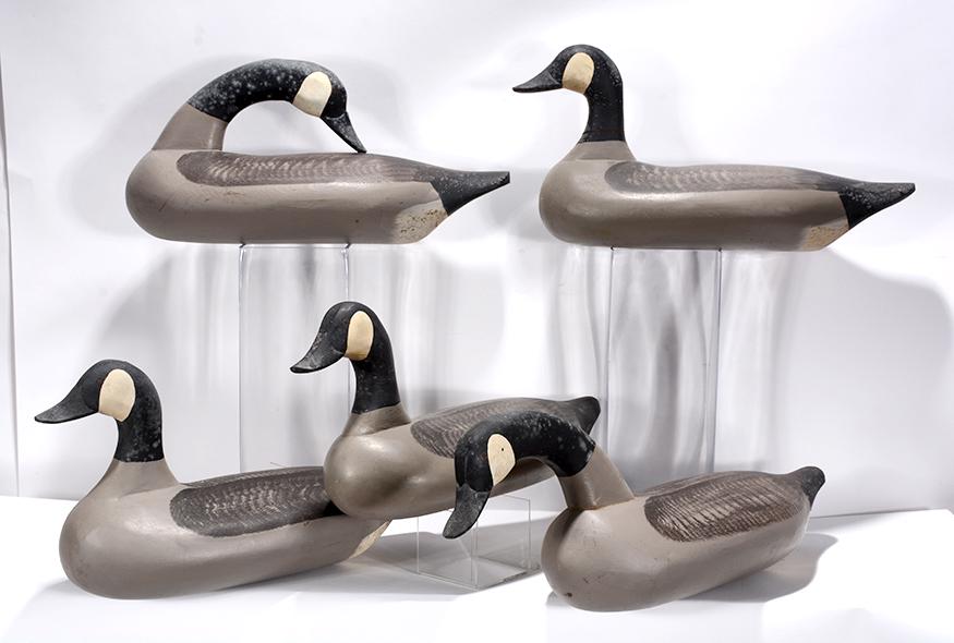 Paul Gibson. 5 Canadian Geese. (1 of 4)