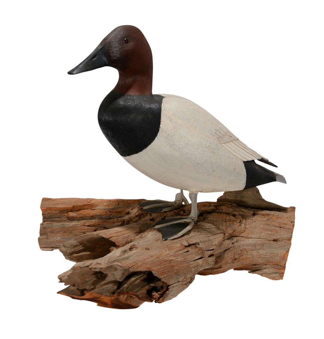 Jeff Jester. Red Headed Mallard Duck. (1 of 4)