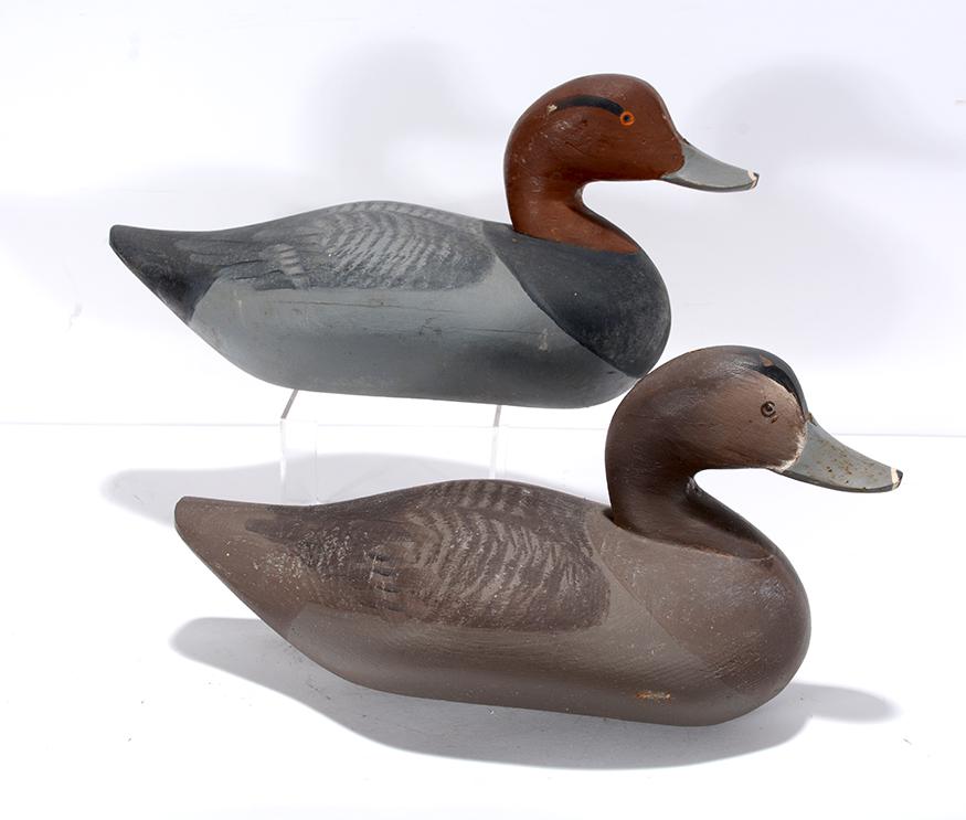 Pair of Grey Ducks. (1 of 4)