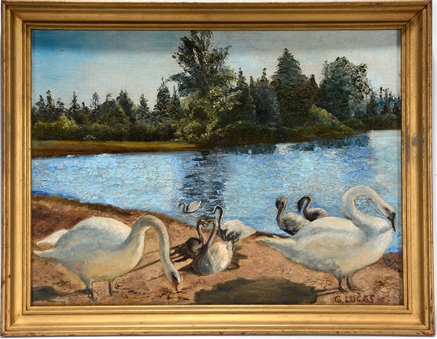 G. Lucas. Swans At The Lake Edge. (1 of 4)