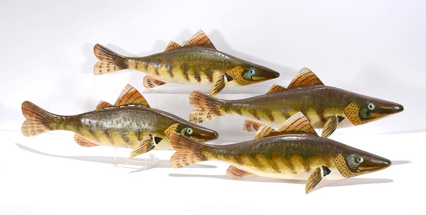 Tom Singleton. School of 4 Muskies. (1 of 4)