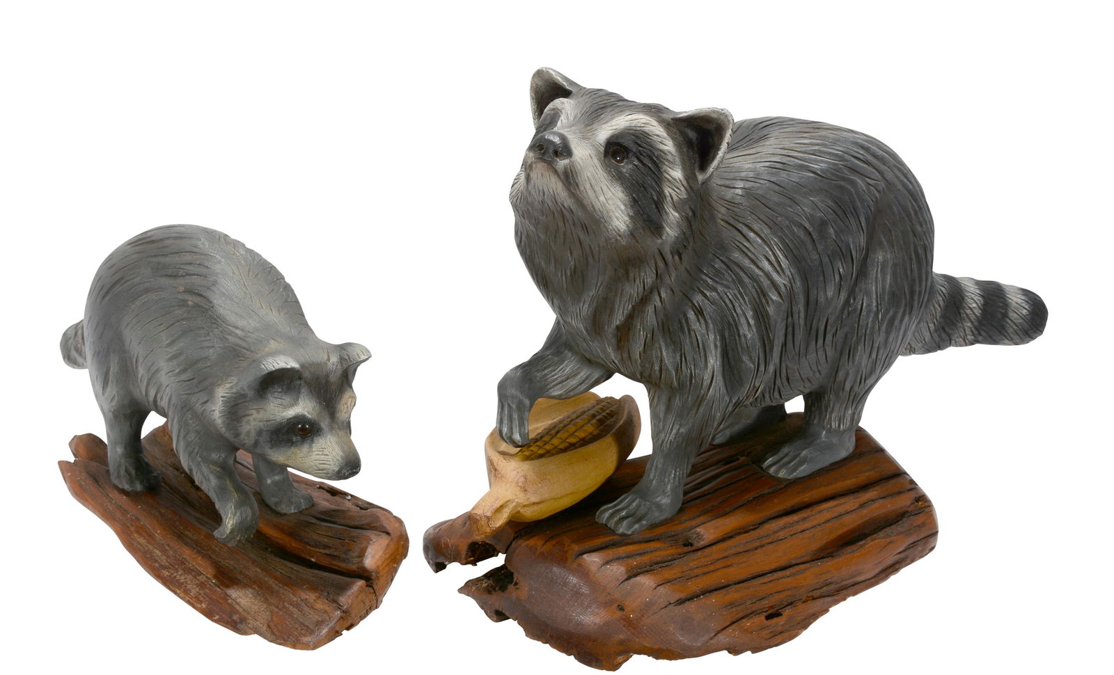 Casey Edwards. Mom & Baby Raccoons. (1 of 5)