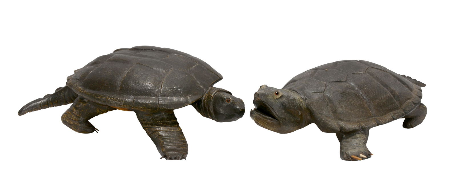 Casey Edwards. Snapping Turtles. (1 of 4)