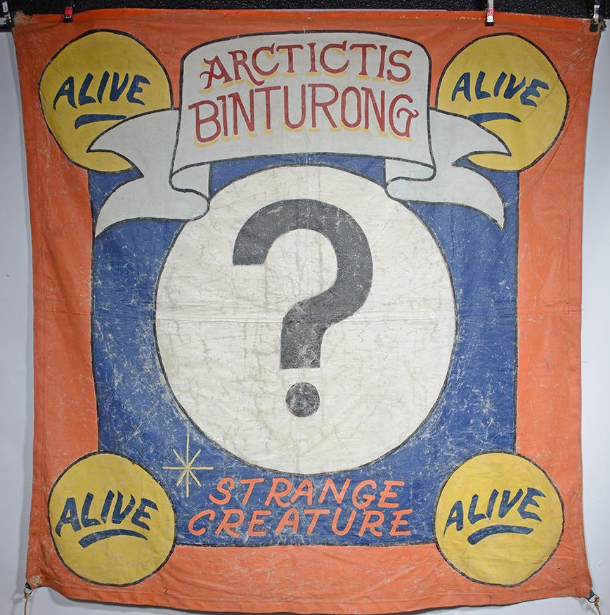 Sideshow Banner. Arctictis Binturoung. (1 of 5)