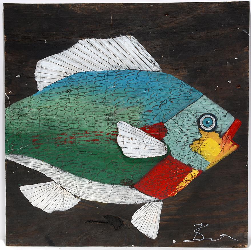 Michael Banks. Sunfish. (1 of 1)