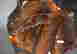 item-95812364=5