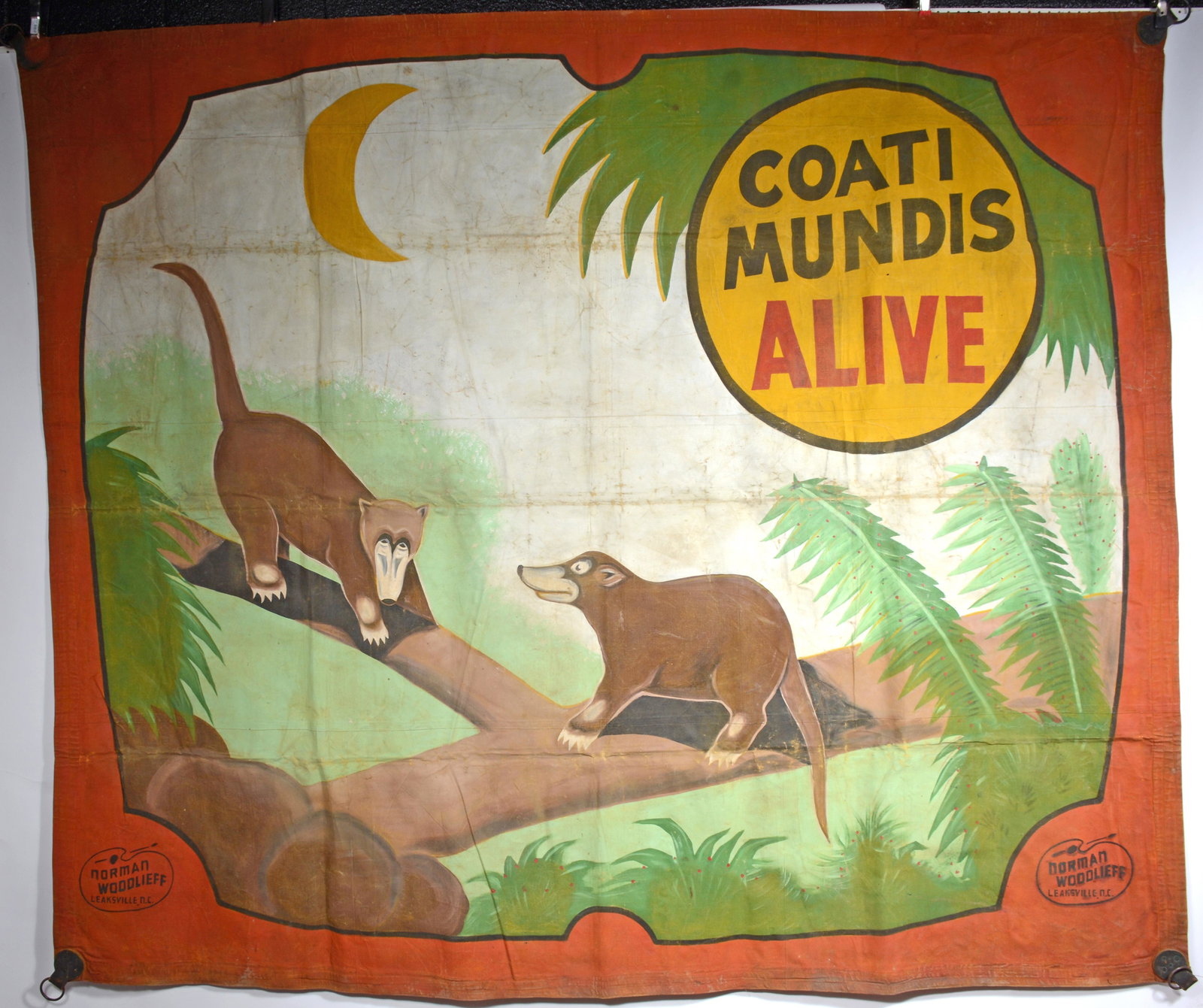 Norman Woodlieff. Coati Mundis Alive Side Show Banner.: Norman Woodlieff. Coati Mundis Alive Side Show Banner. c. 1950s. Oil on heavy canvas with original leather and metal rings. Expected wear, otherwise excellent condition. 108"w x 93"h. Est. $1,000-2,00