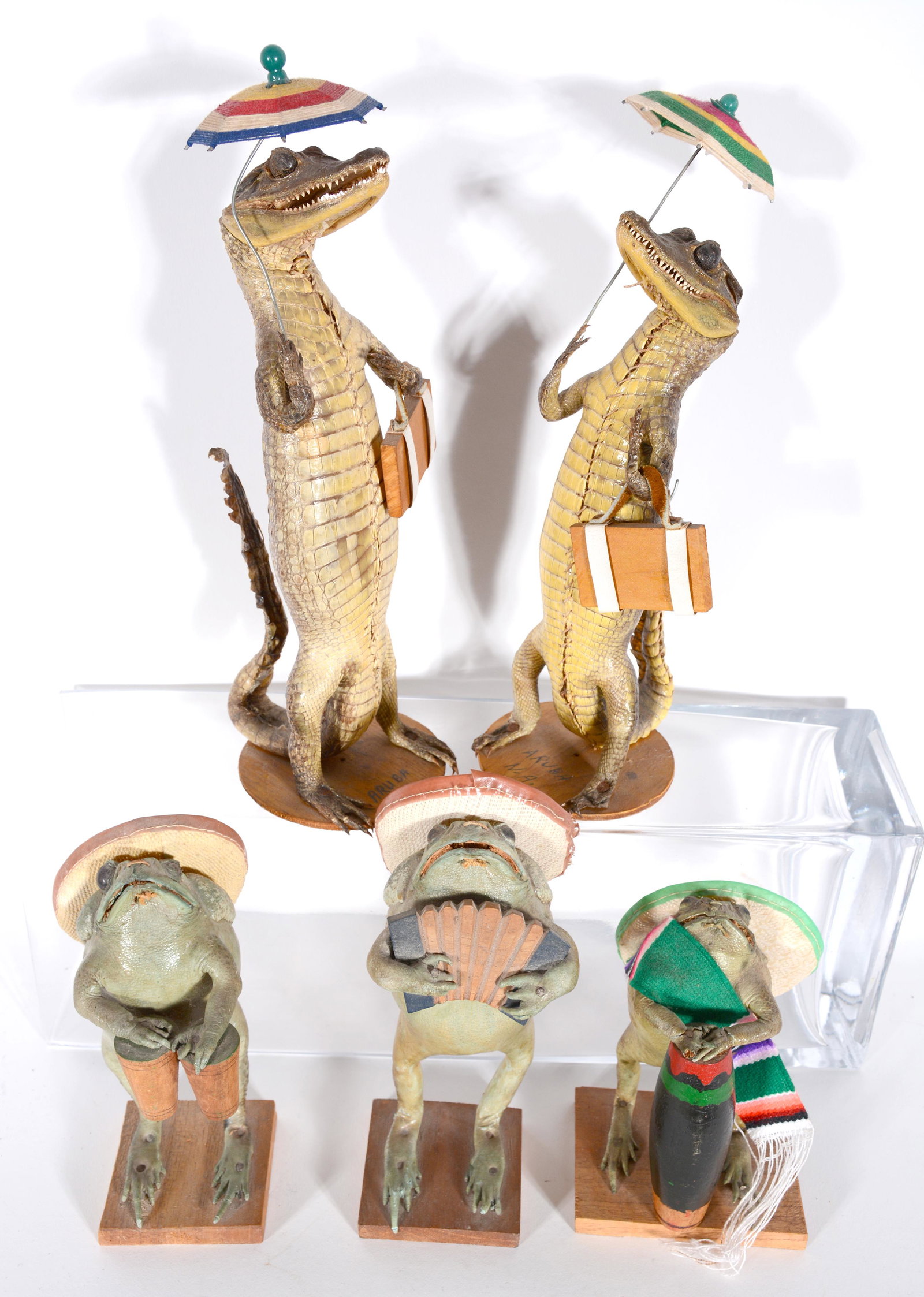 International Tourist Taxidermy. Alligators and Frogs.: International Tourist Taxidermy. Alligators and Frogs. Good to great condition. Gators are 11" x 3". Est. $100-200. Ship:â€ˆ$55