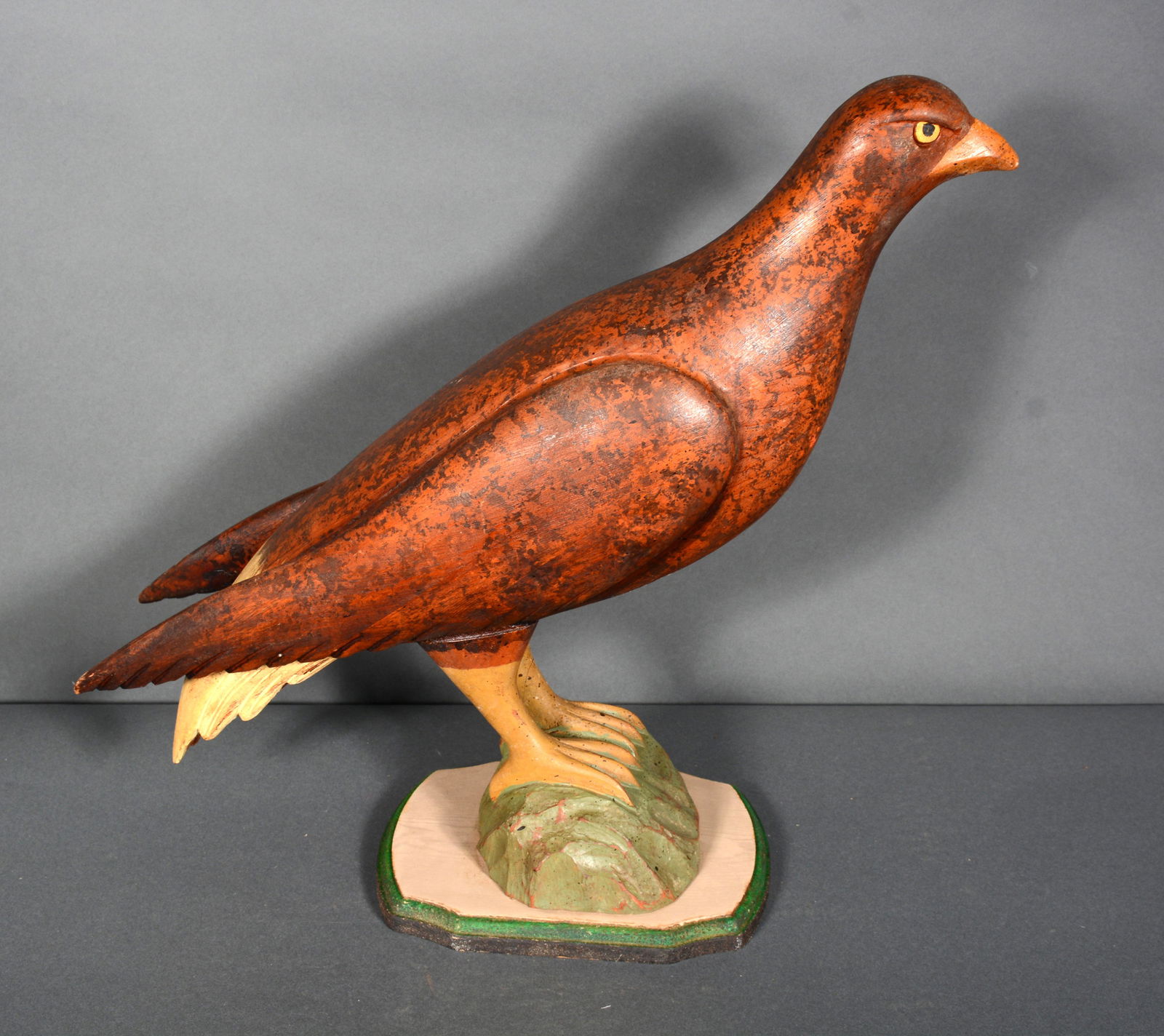 Large White Tail Hawk. (1 of 7)