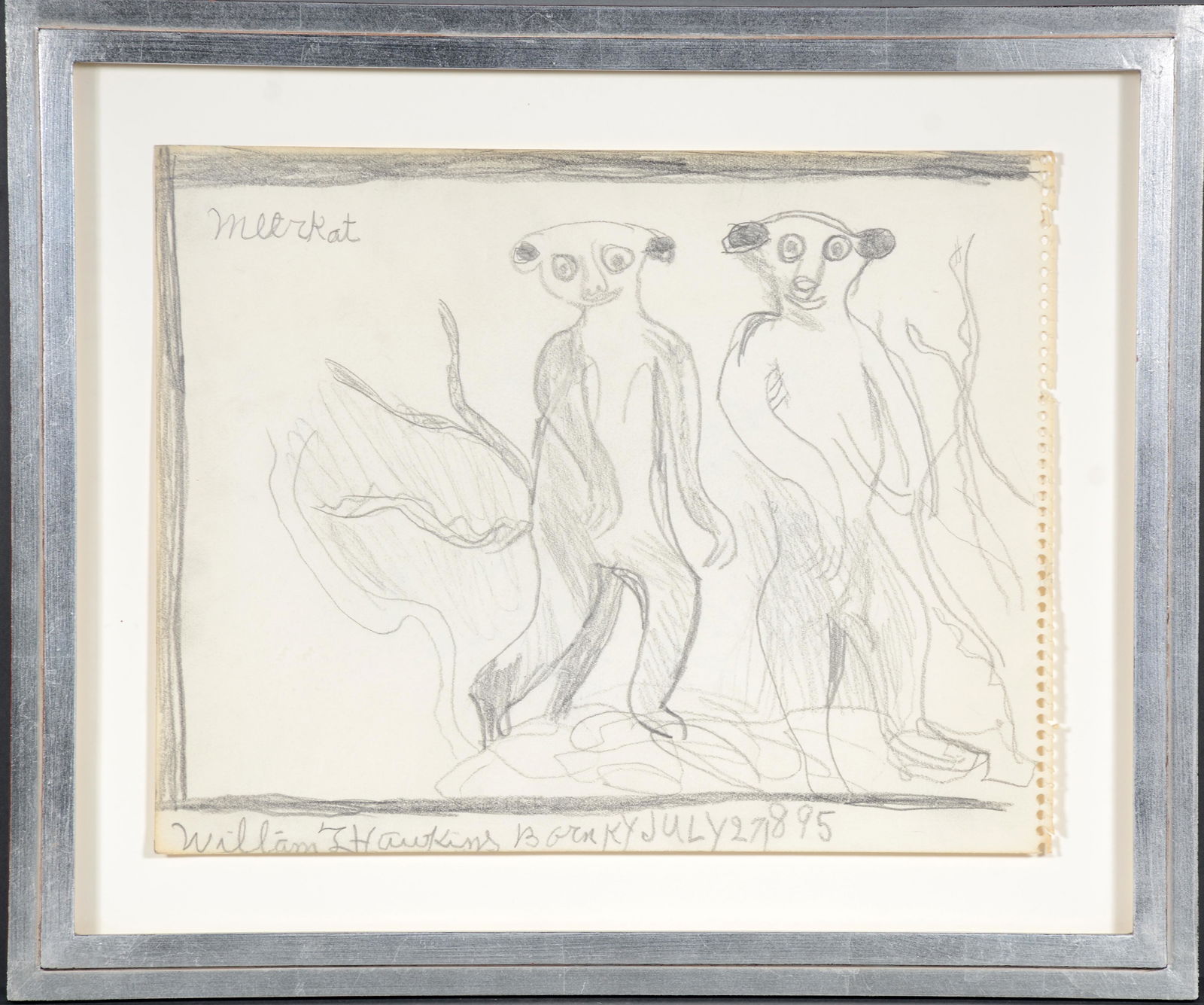 William Hawkins. Meerkat. (1 of 4)