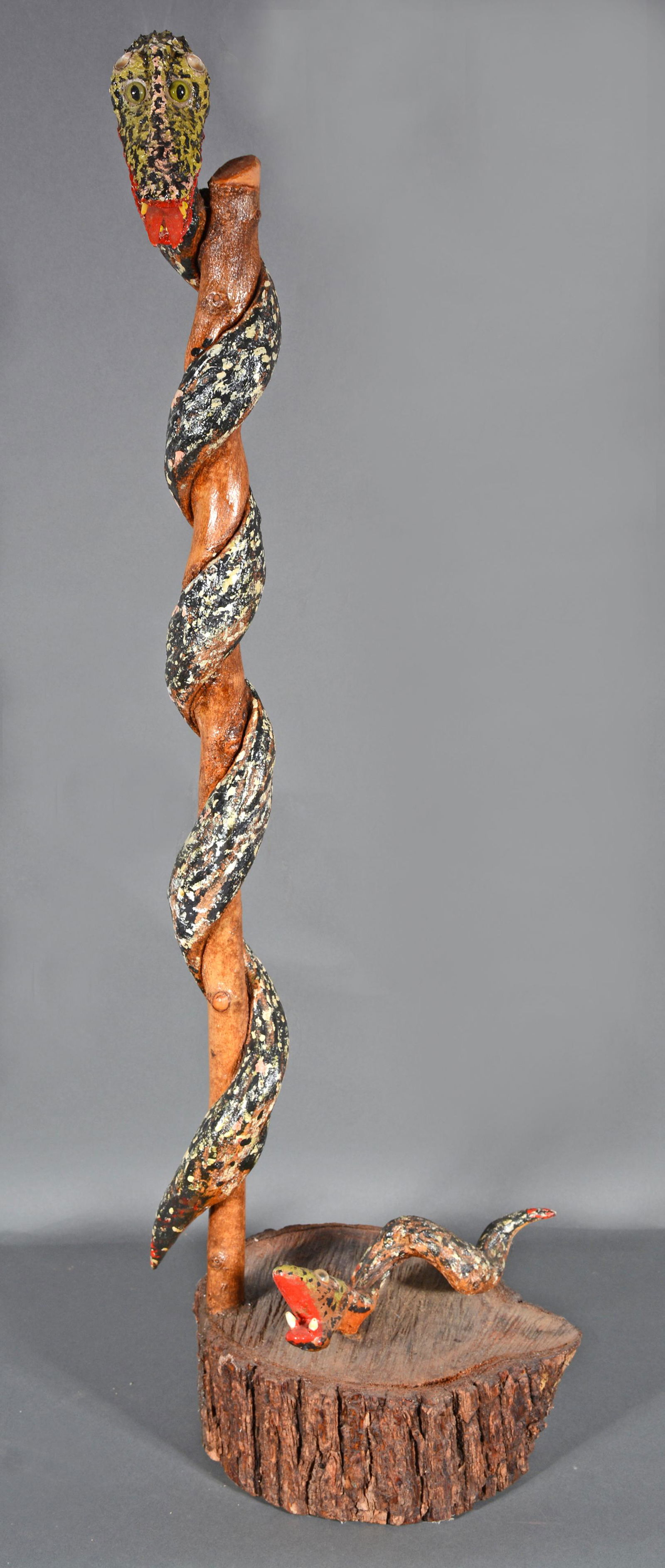 Q.J. Stephenson. Climbing Snake On Stump. (1 of 6)