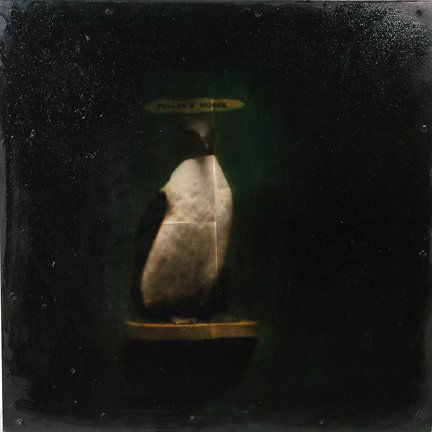 Todd Murphy. Penguin Photographic Canvas.: Penguin.Mixed media on photographic canvas. Signed on back. 24" x 24"h. Excellent condition. Est. $4,000-6,000. Ship: $45